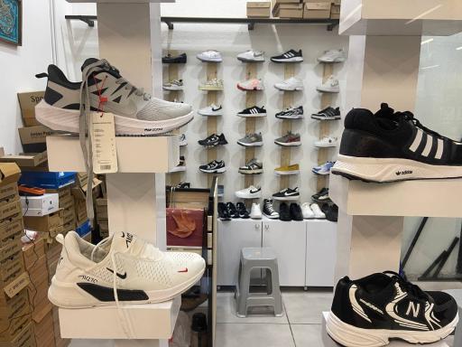 عکس کفش پاشا