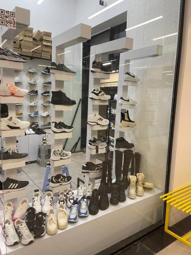 عکس کفش پاشا