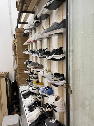 عکس کفش پاشا