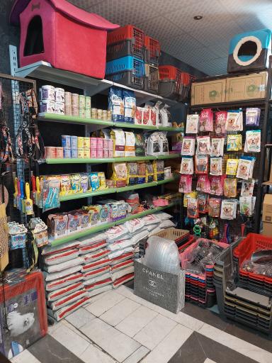 عکس پت شاپ حامیان پت ستارخان