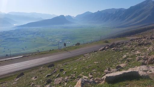 عکس دشت سوسن