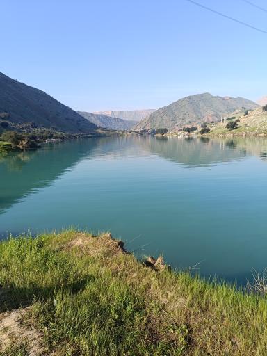 عکس دشت سوسن