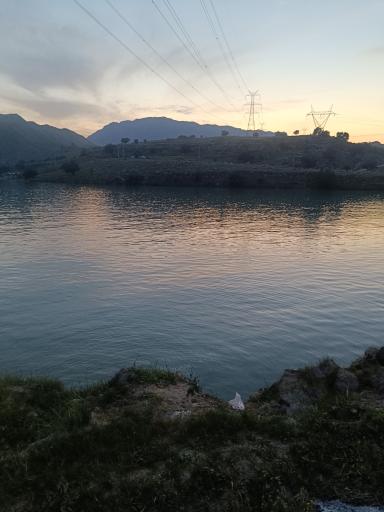 عکس دشت سوسن