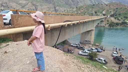 عکس دشت سوسن