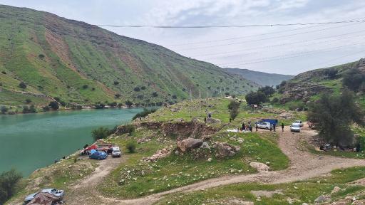 عکس دشت سوسن