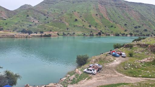 عکس دشت سوسن