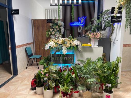 مرکز فیزیوتراپی نسرین مسعودی