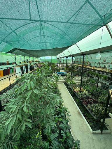 عکس گلخانه شیرکوه