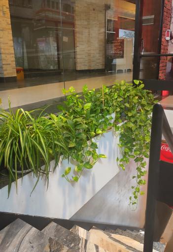 عکس اغذیه دهه شصتی بابا مجید