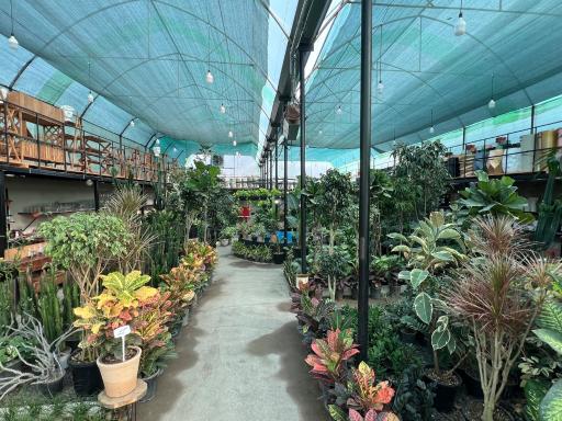 عکس گلخانه شیرکوه