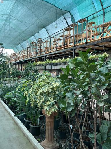 عکس گلخانه شیرکوه