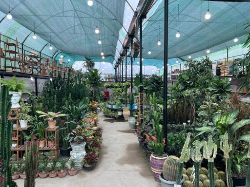 عکس گلخانه شیرکوه