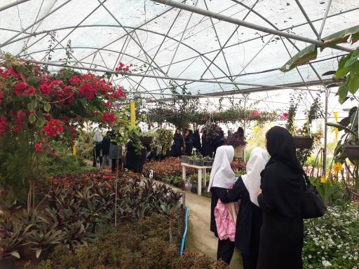 عکس گلخانه ارکیده