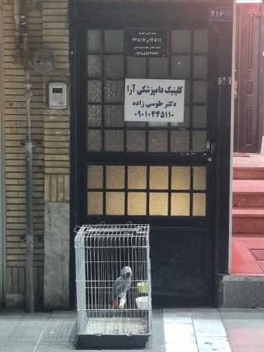عکس کلینیک دامپزشکی آرا