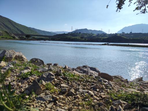 عکس دشت سوسن