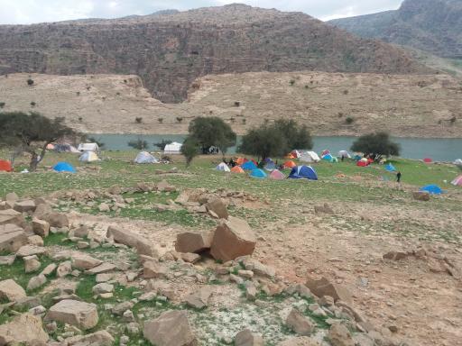 عکس دشت سوسن