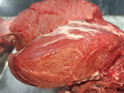 عکس ایلیا پروتئین 