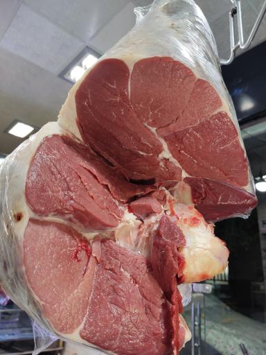 عکس ایلیا پروتئین 