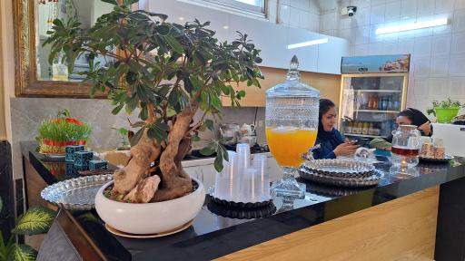 عکس مهمانپذیر کاخ