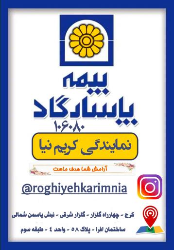 عکس بیمه پاسارگاد نمایندگی کریم نیا 106080