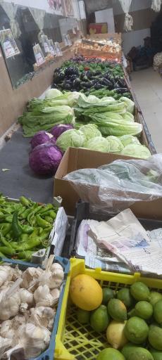 عکس میوه فروشی و تره بار ۱۹ بهمن 