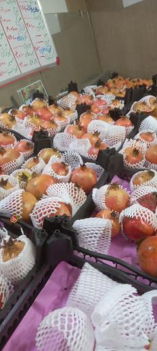 عکس میوه فروشی و تره بار ۱۹ بهمن 