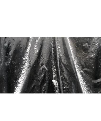 عکس روشن سنگ پرسپولیس