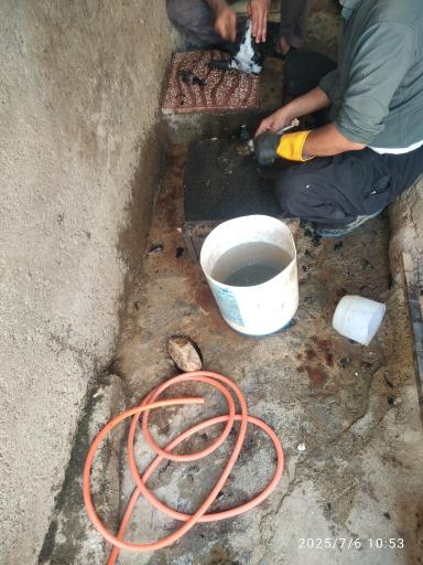 عکس دامداری کریمه اهل بیت