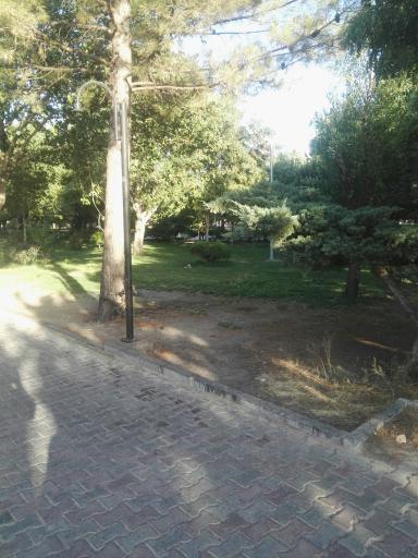 عکس پارک بلوک 2