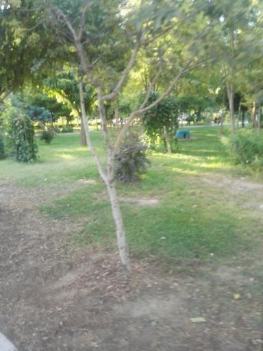 عکس پارک بلوک 2