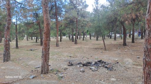 عکس بوستان خرگوش دره