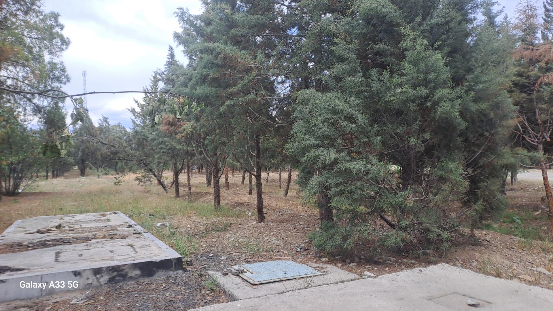 عکس بوستان خرگوش دره