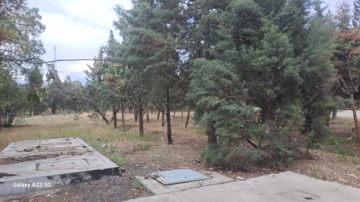 عکس بوستان خرگوش دره