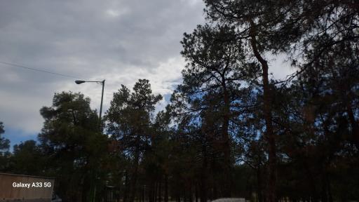 عکس بوستان خرگوش دره