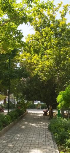 عکس میدان آیت‌الله سعیدی