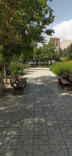 عکس میدان آیت‌الله سعیدی