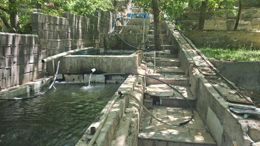 عکس باغ و پرورش ماهی زمانی