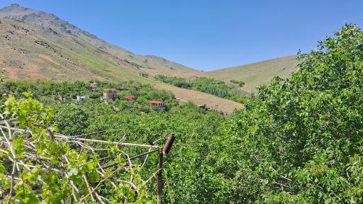 عکس باغ و پرورش ماهی زمانی