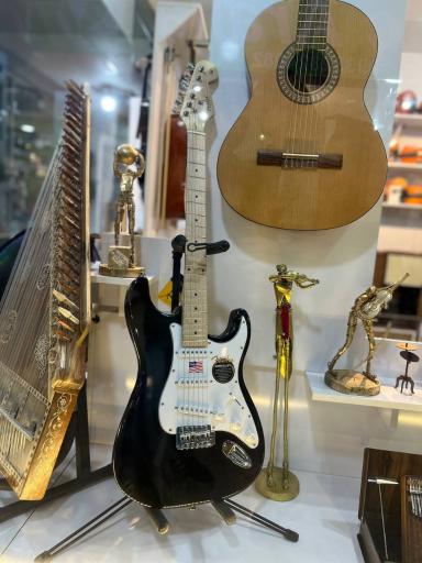 عکس فروشگاه موسیقی آویژه