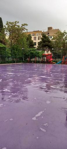 عکس آکادمی اسکیت نیک