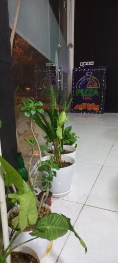 عکس پیتزا تایم 