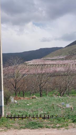 عکس دره قاسملو