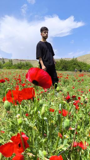 عکس دره قاسملو