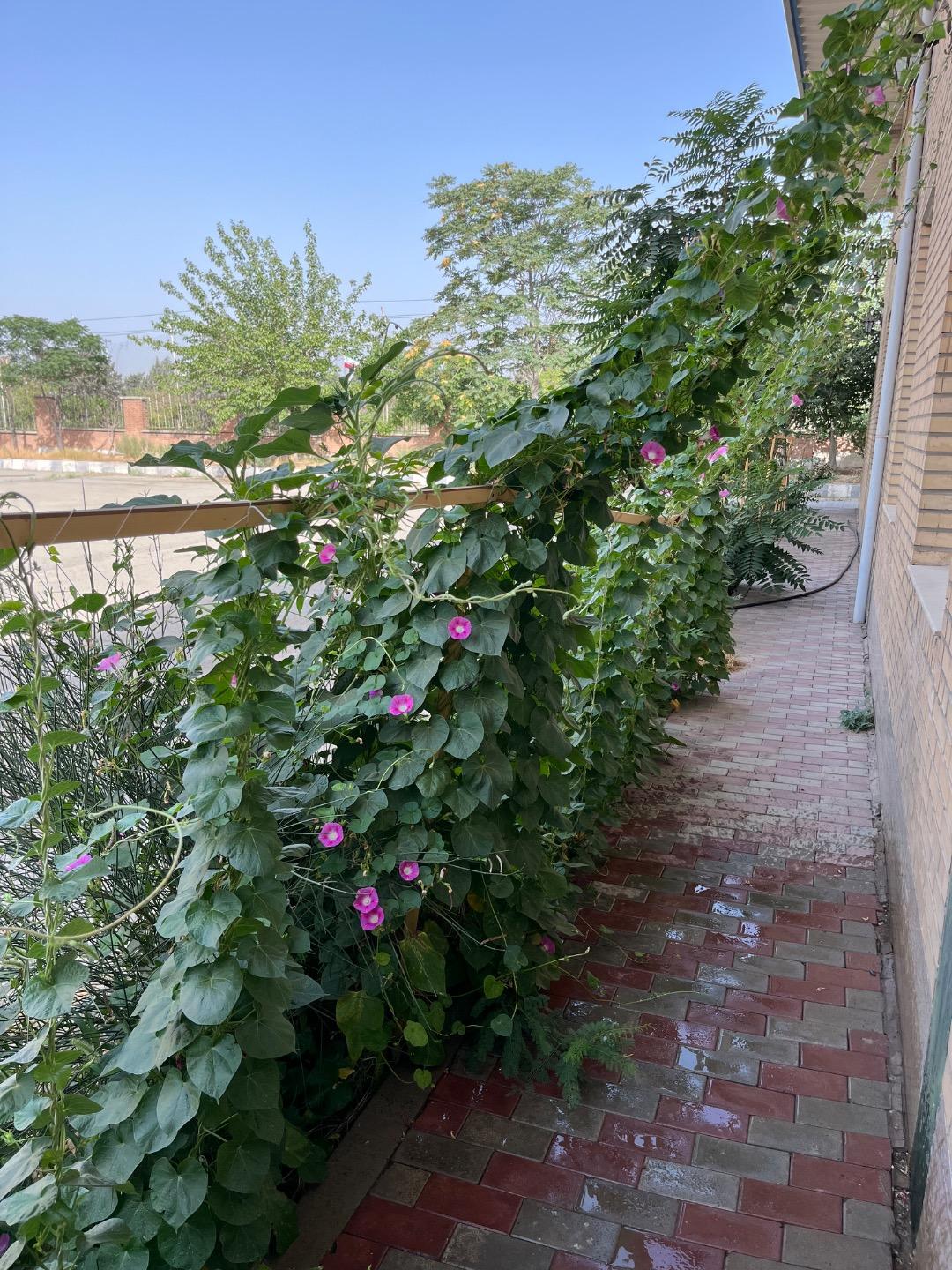 عکس آموزشگاه فنی و حرفه ای کارآزموده