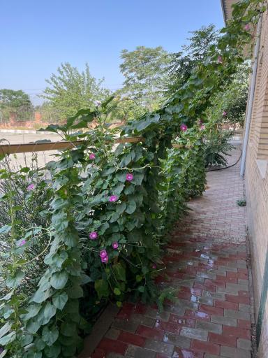 عکس آموزشگاه فنی و حرفه ای کارآزموده