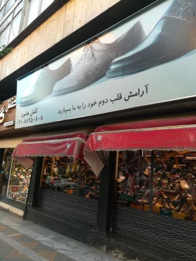 عکس کفش هامون