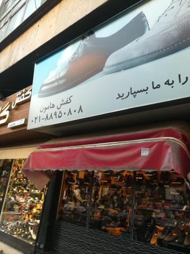 عکس کفش هامون