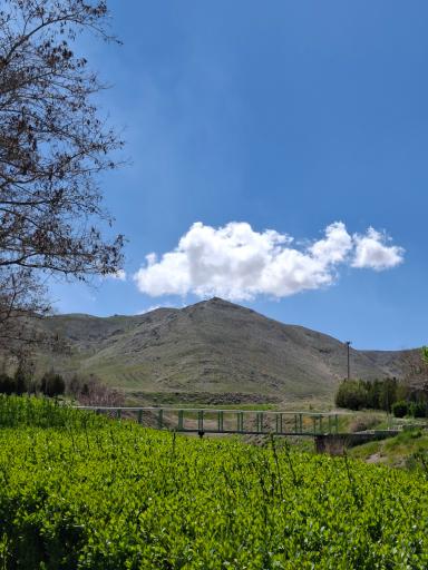 عکس پارک کلاله
