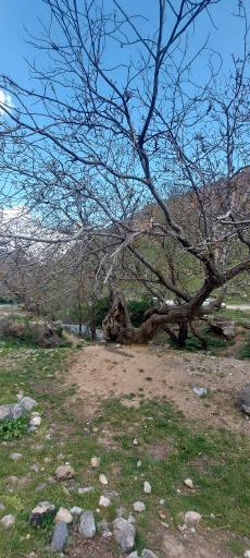 عکس دره قاسملو
