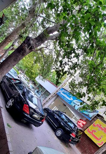 عکس کارشناسی تشخیص رنگ حسام